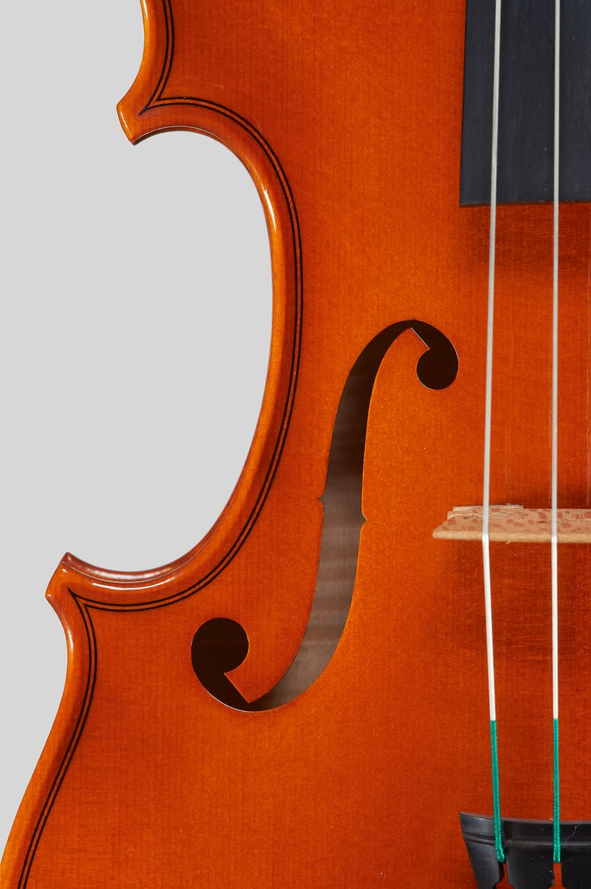 violin-f